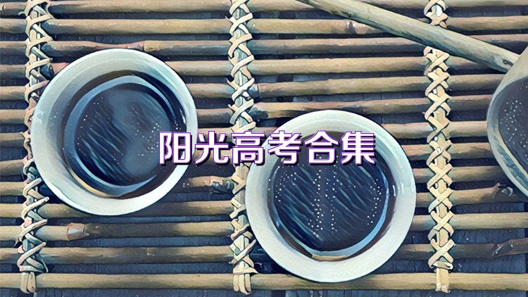 阳光高考合集