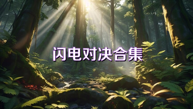 闪电对决合集