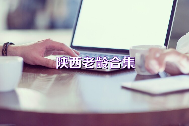 陕西老龄合集