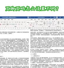 word页码怎么设置