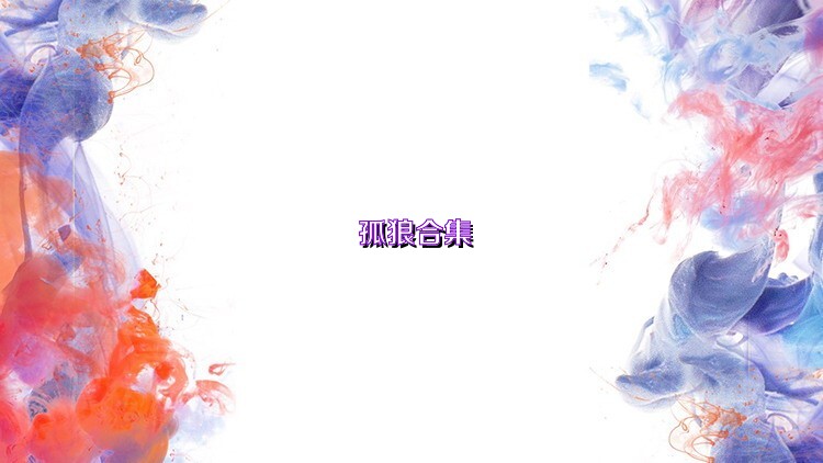 孤狼合集