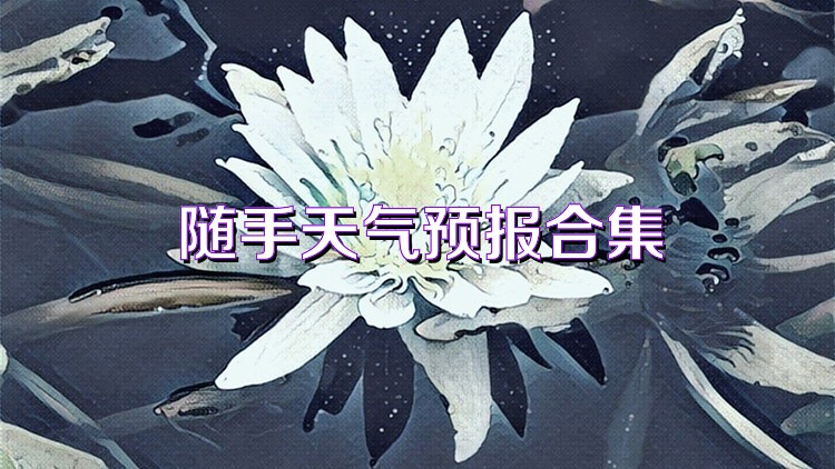 随手天气预报合集