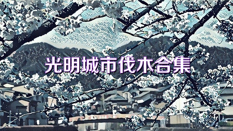 光明城市伐木合集