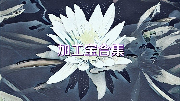 加工宝合集