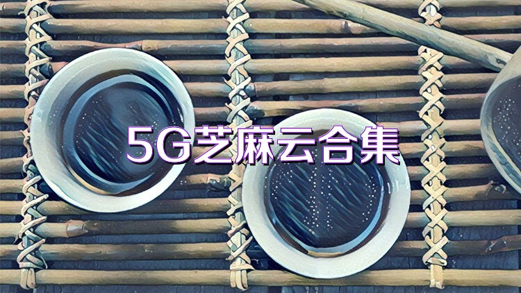 5G芝麻云合集