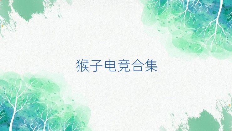 猴子电竞合集
