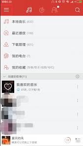 网易云音乐如何在软件里显示歌词