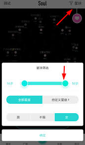 soul怎么筛选匹配年龄