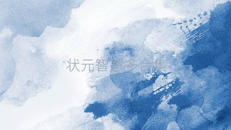 状元智慧多合集