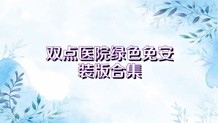 双点医院绿色免安装版合集