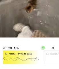 啫喱动态如何添加配乐