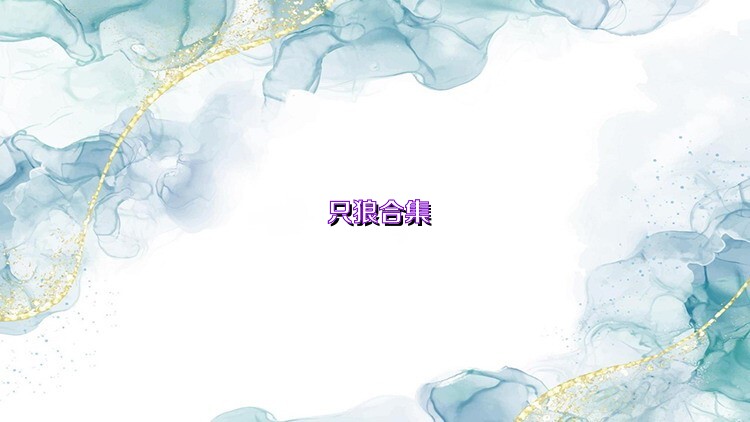 只狼合集