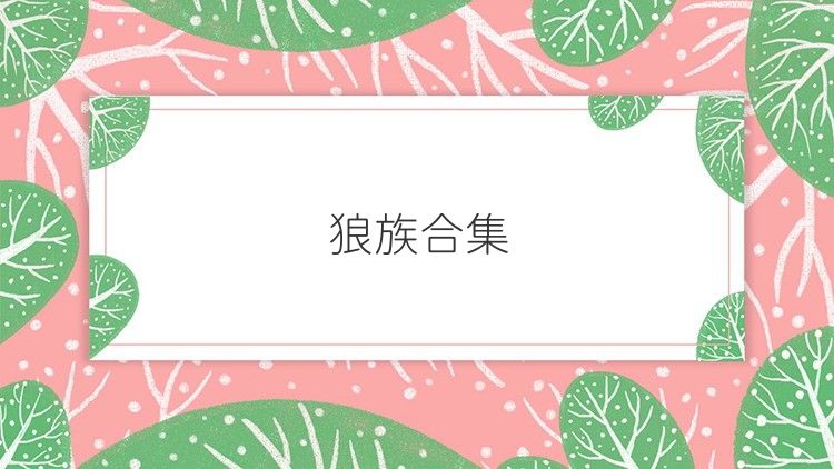 狼族合集