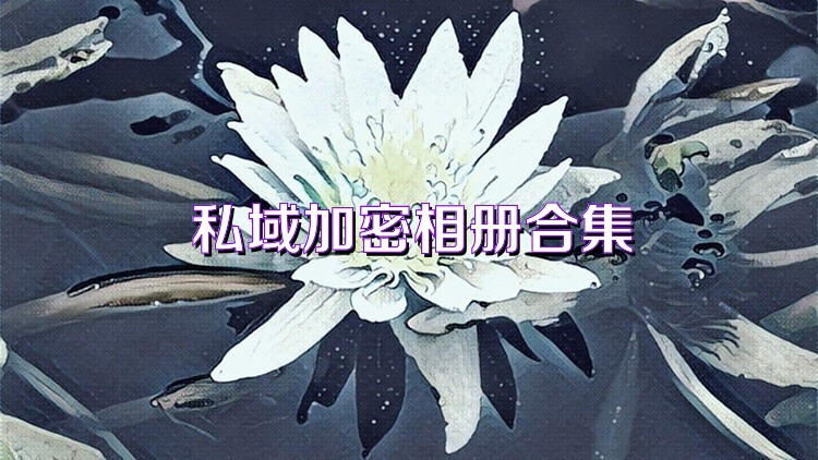 私域加密相册合集