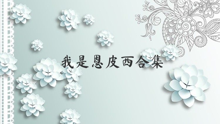 我是恩皮西合集