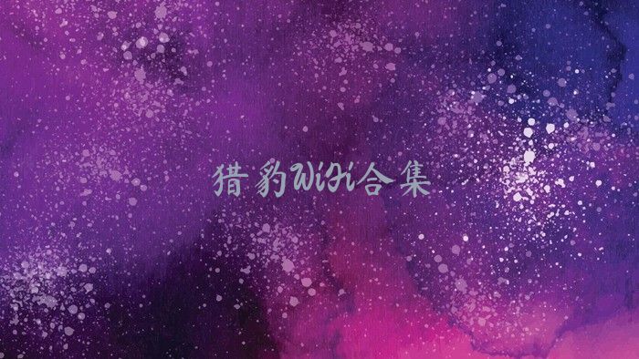 猎豹WiFi合集
