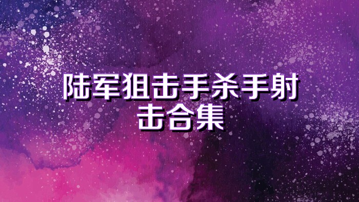 陆军狙击手杀手射击合集
