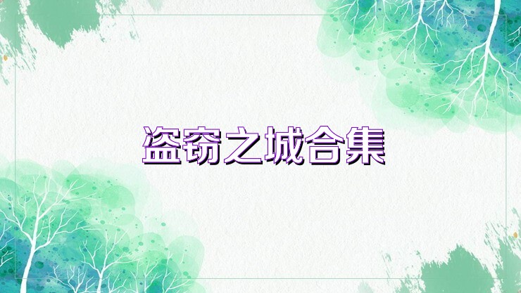 盗窃之城合集