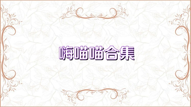 嗨喵喵合集