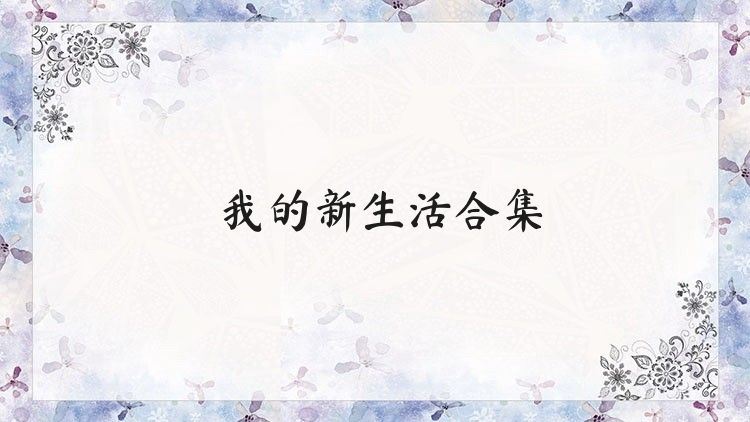我的新生活合集