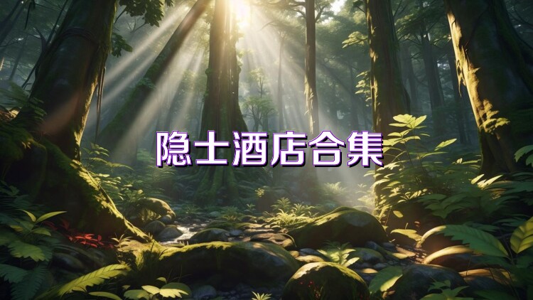 隐士酒店合集
