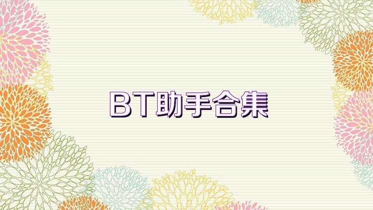 BT助手合集