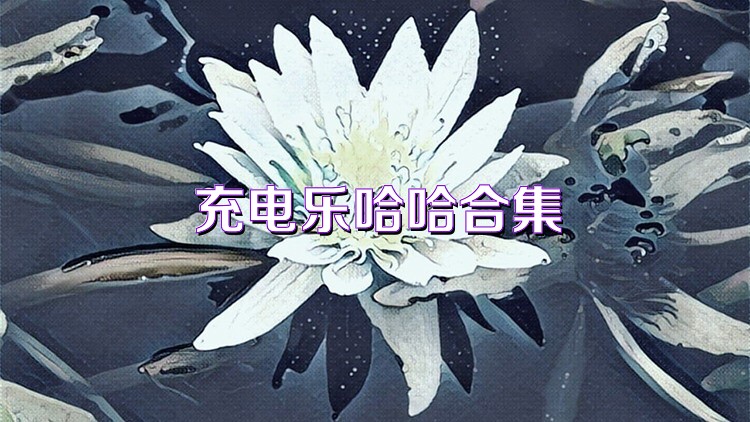 充电乐哈哈合集