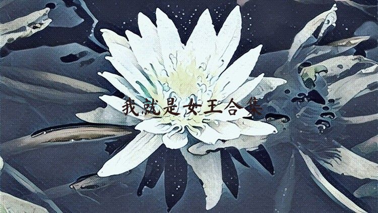 我就是女王合集