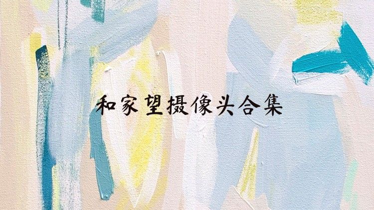 和家望摄像头合集