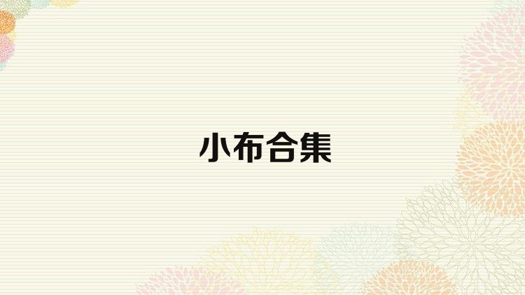 小布合集