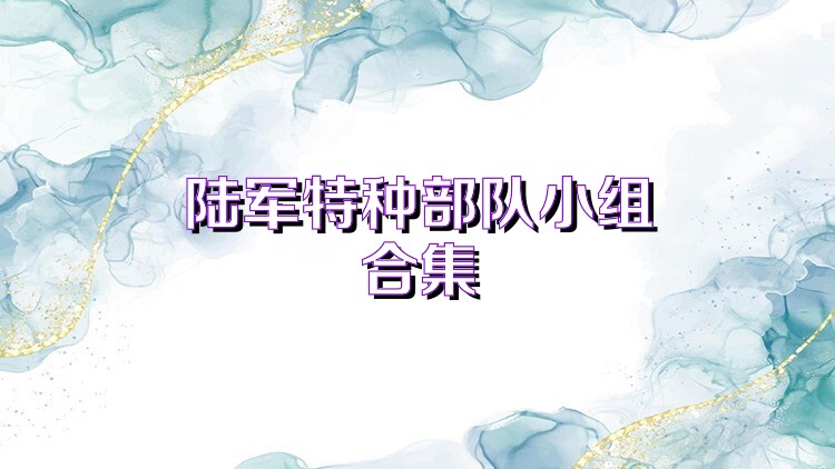 陆军特种部队小组合集