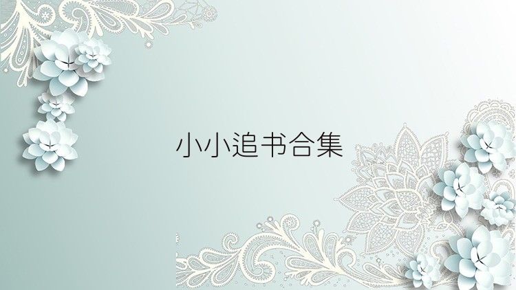 小小追书合集