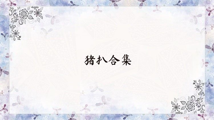 猪扒合集