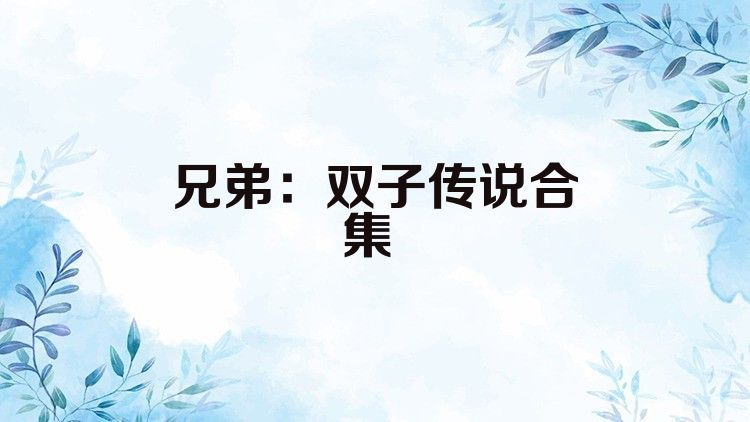 兄弟：双子传说合集