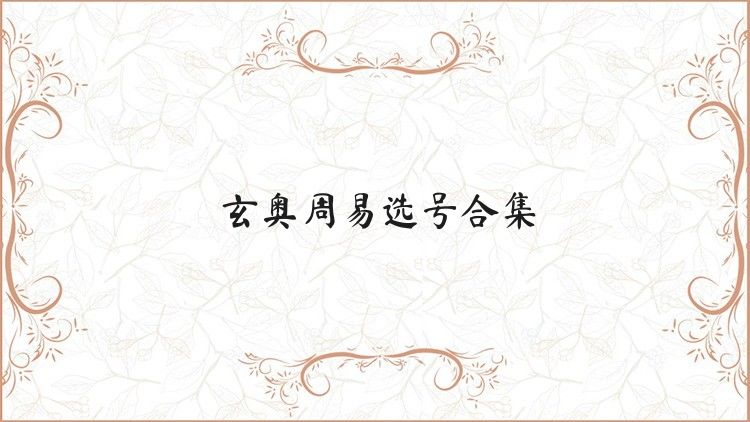 玄奥周易选号合集