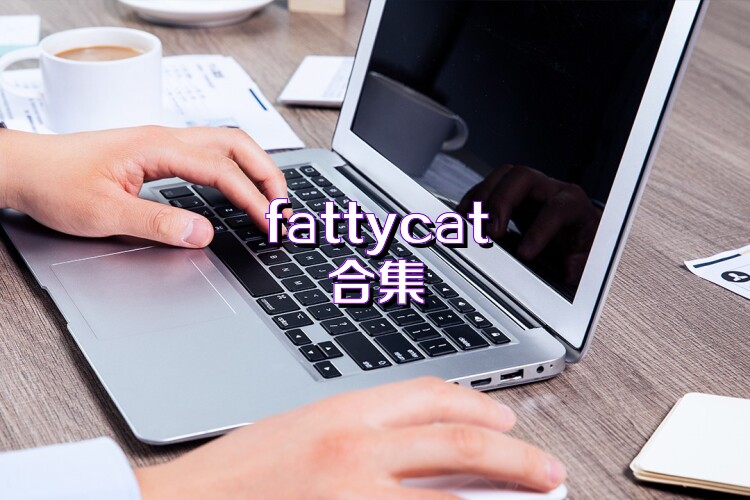 fattycat合集