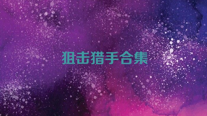 狙击猎手合集