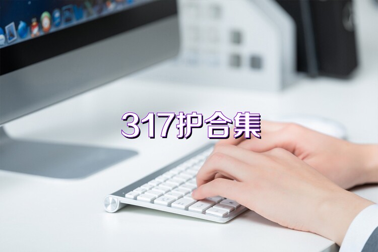317护合集