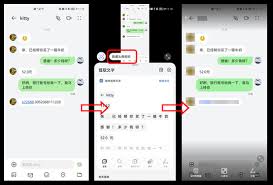 如何使用华为聊天隐私保护