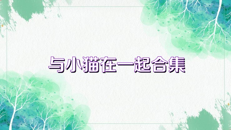 与小猫在一起合集