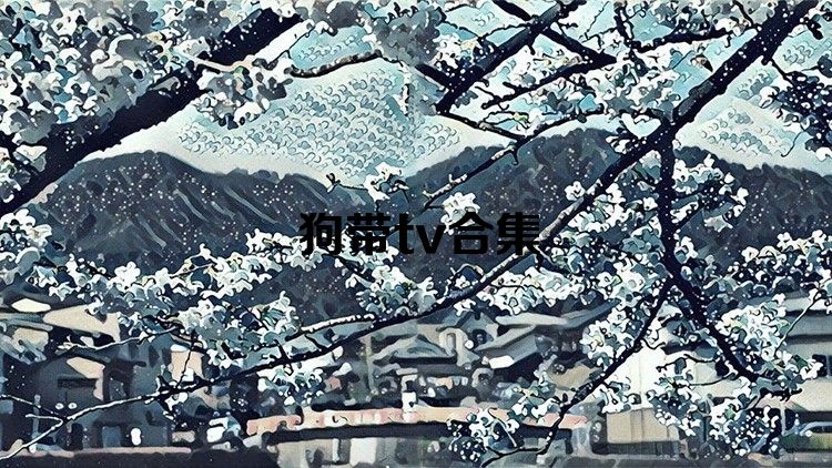 狗带tv合集