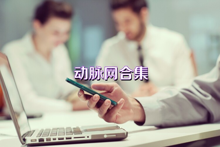 动脉网合集
