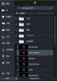 Camtasia声音有什么功能