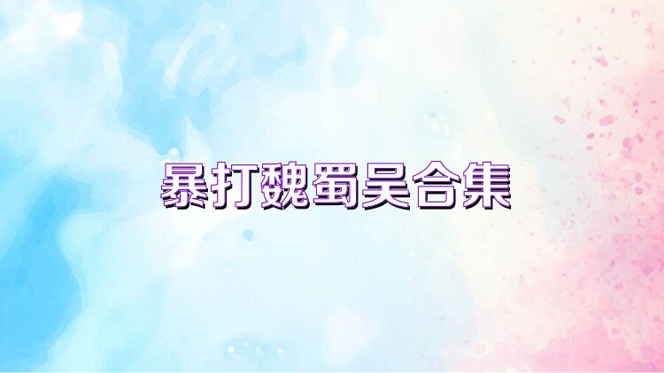 暴打魏蜀吴合集