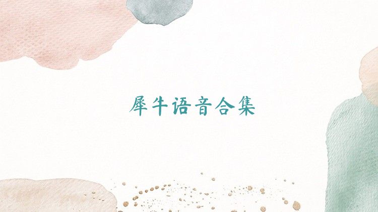 犀牛语音合集
