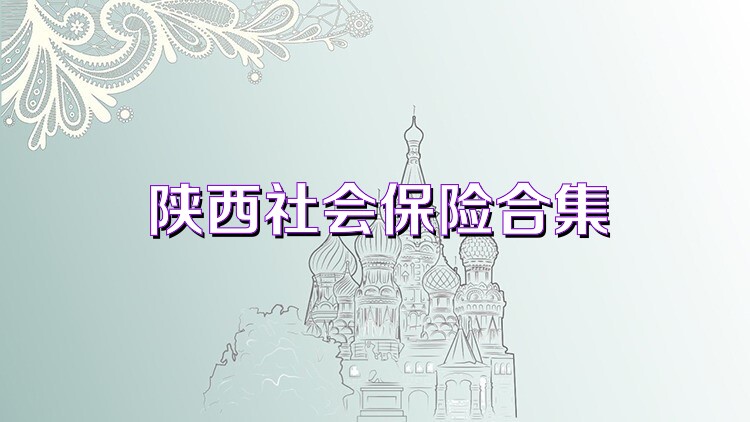 陕西社会保险合集