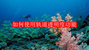 会声会影x10怎么用轨道透明度功能