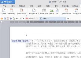 WPS Office怎样把指定页数设为起始页