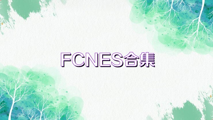 FCNES合集