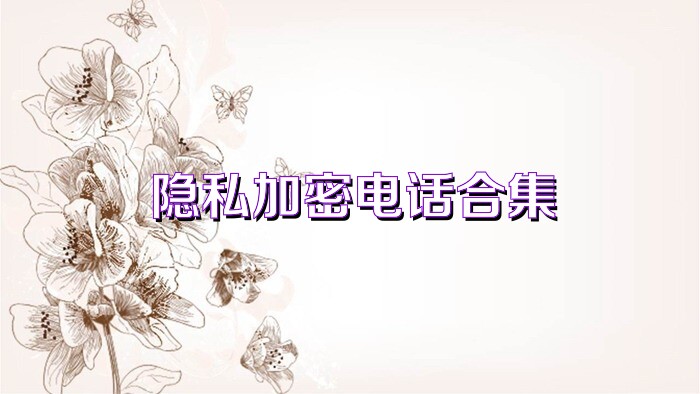 隐私加密电话合集